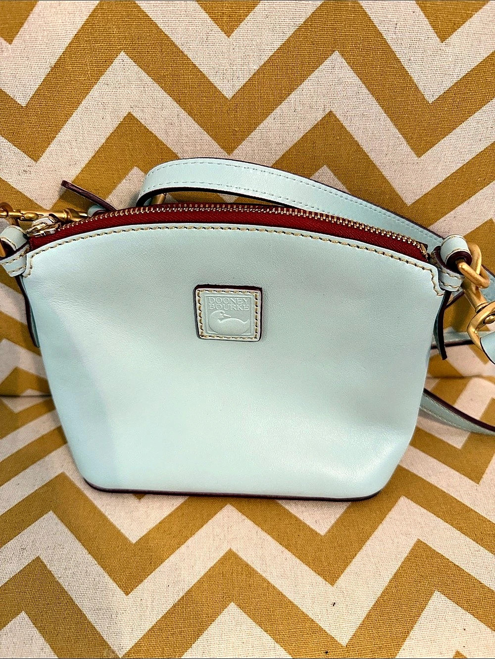 Dooney & Bourke Mini Domed Crossbody Leather Bag in Light Blue
